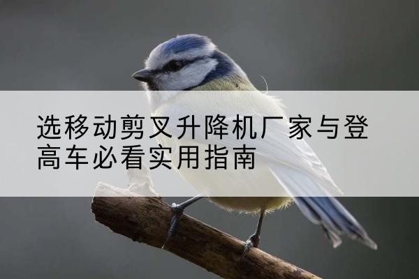 延津电动升降机厂家-选移动剪叉升降机厂家与登高车必看实用指南
