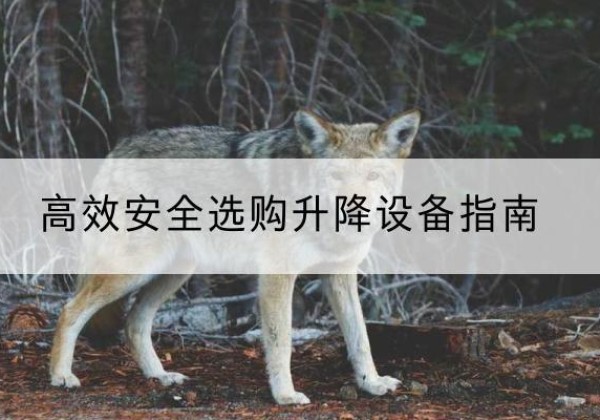 延津升降货梯厂家推荐-*安全选购升降设备指南