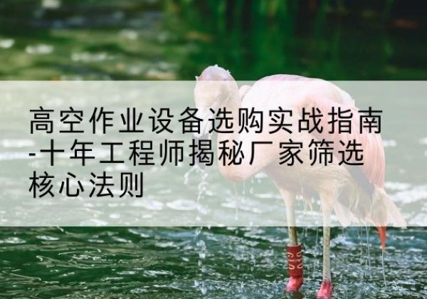 延津剪叉式升降机厂家-高空作业设备选购实战指南-十年工程师揭秘厂家筛选核心法则
